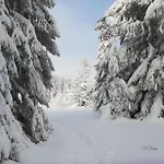 Tatil Evi Fraicheur , Foret D'aubrac , Au Coeur De La Nature