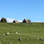 Fraicheur , Foret D'aubrac , Au Coeur De La Nature Tatil Evi *