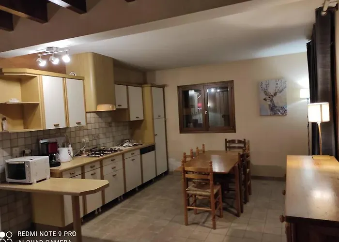 Fraicheur , Foret D'aubrac , Au Coeur De La Nature *