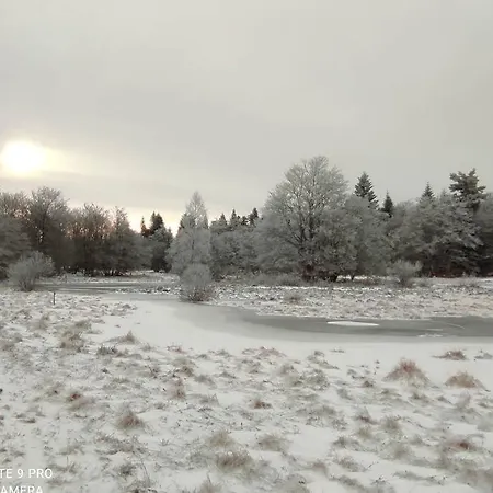 Tatil Evi Fraicheur , Foret D'aubrac , Au Coeur De La Nature Prades-d'Aubrac