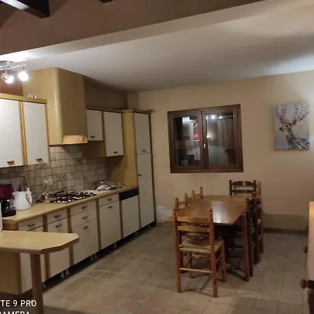 Fraicheur , Foret D'aubrac , Au Coeur De La Nature *