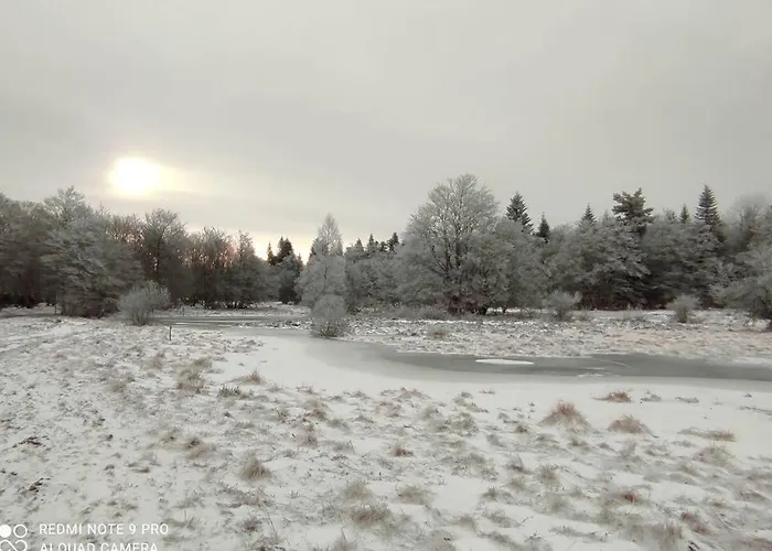 Ferienhaus Fraicheur , Foret D'aubrac , Au Coeur De La Nature Prades-d'Aubrac