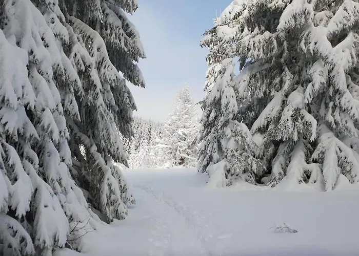 Ferienhaus Fraicheur , Foret D'aubrac , Au Coeur De La Nature
